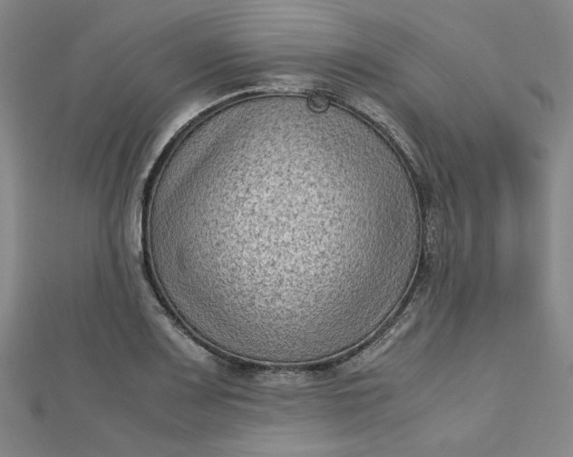 X0000112731083200909031439