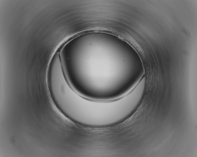 X0000112731084200909031439