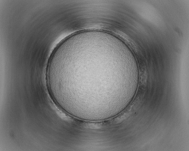 X0000112731086200909031439