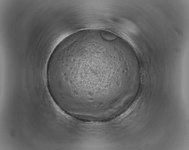 X0000112731087200909031439