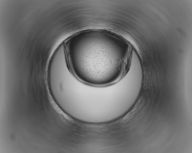 X0000112731088200909031439