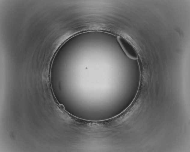 X0000112731089200909031439