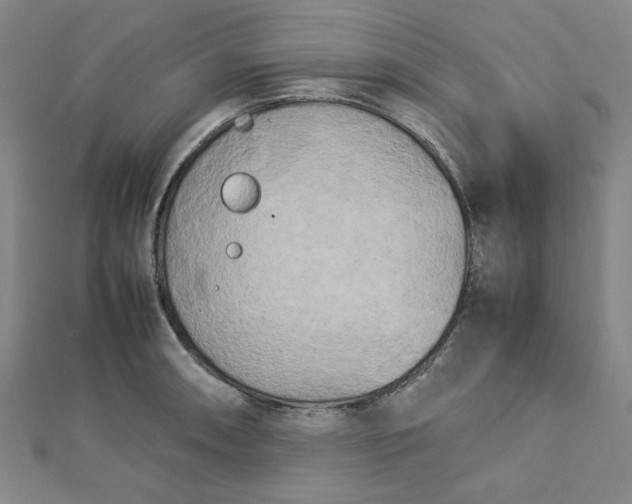 X0000112731090200909031439