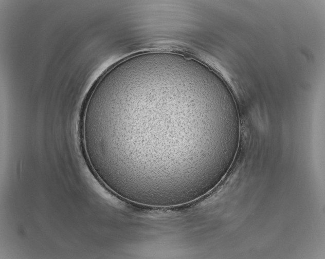 X0000112731091200909031439