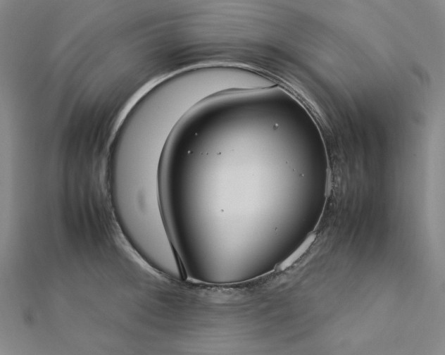 X0000112731092200909031439