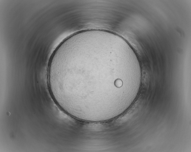 X0000112731094200909031439