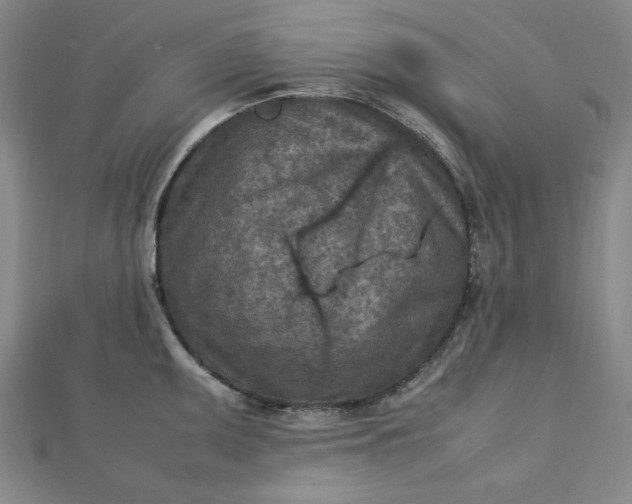 X0000112731095200909031439