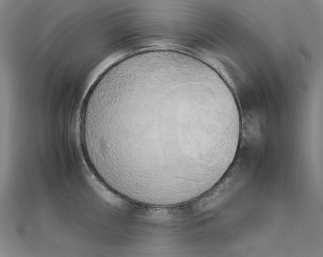 X0000112731098200909031439