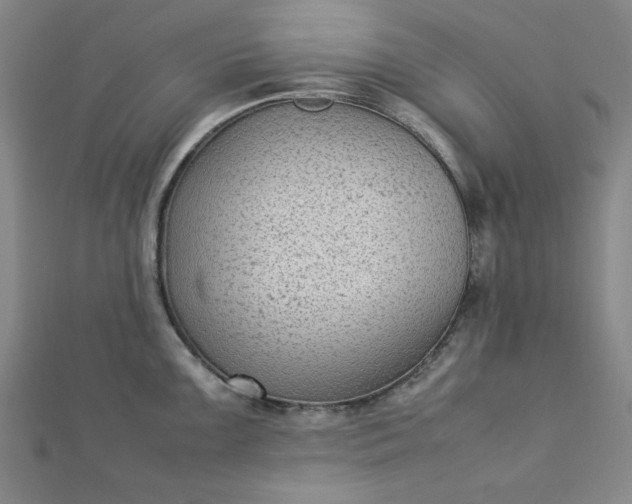 X0000112731099200909031439