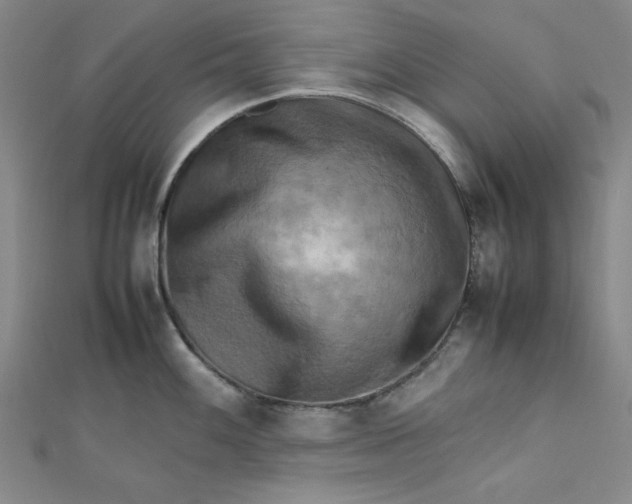 X0000112731100200909031439