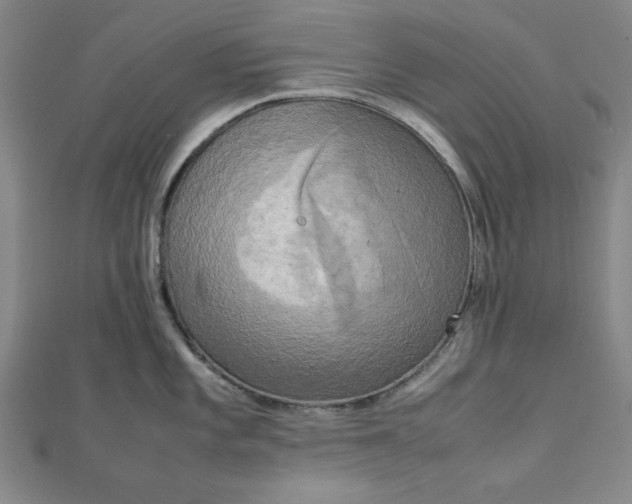 X0000112731101200909031439