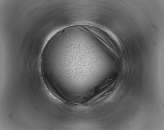 X0000112731102200909031439