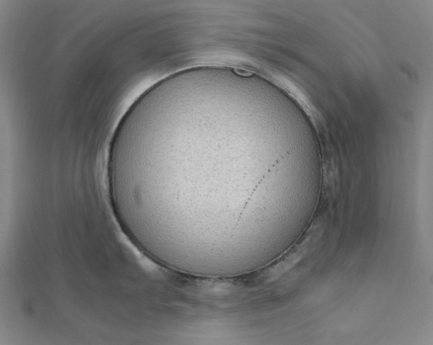 X0000112731103200909031439