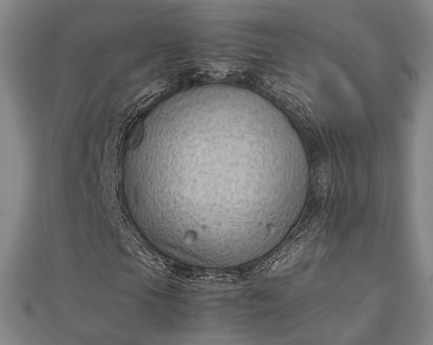 X0000112731105200909031438