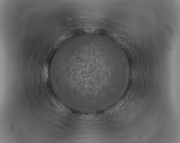 X0000112731106200909031438