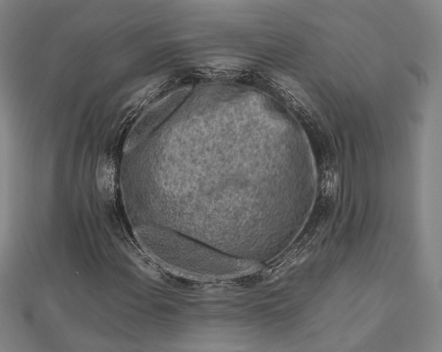 X0000112731108200909031438