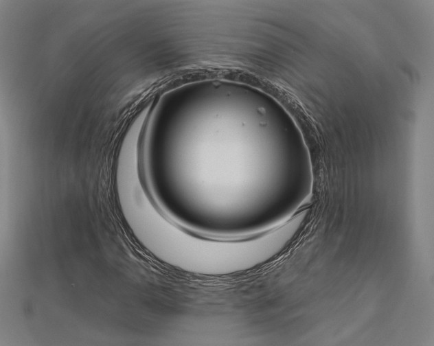 X0000112731110200909031438