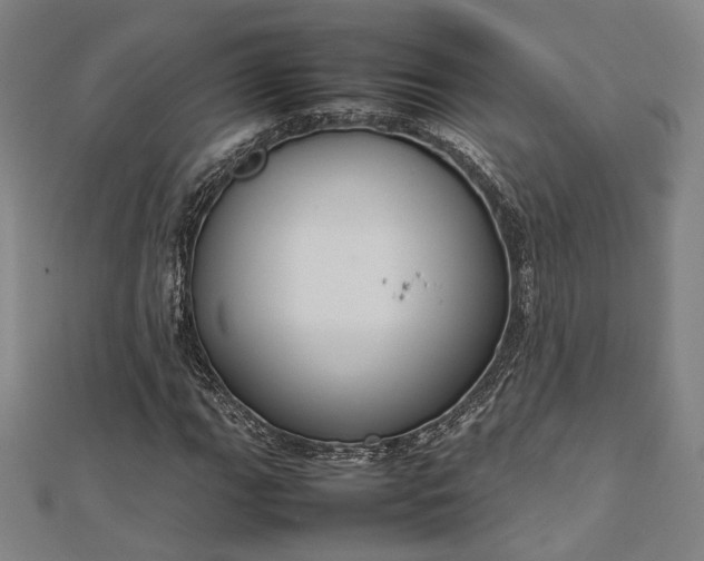 X0000112731111200909031438