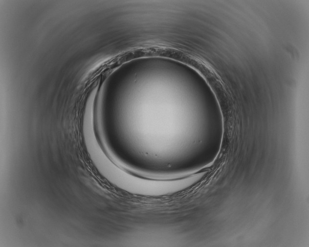 X0000112731112200909031438