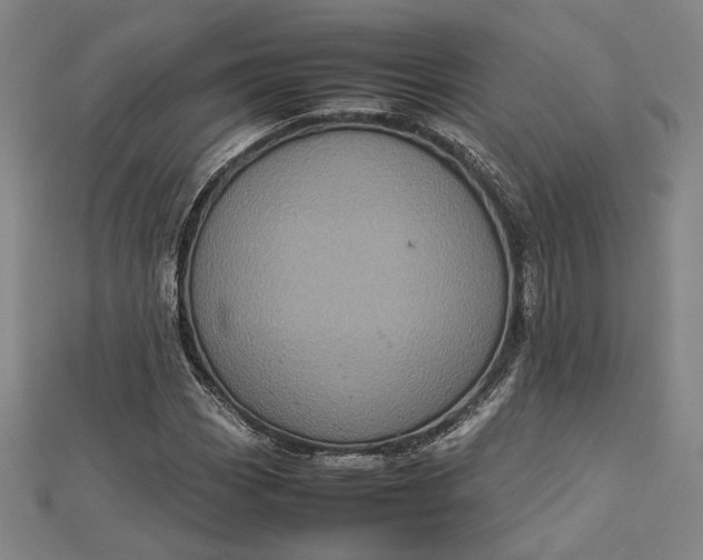 X0000112731113200909031438