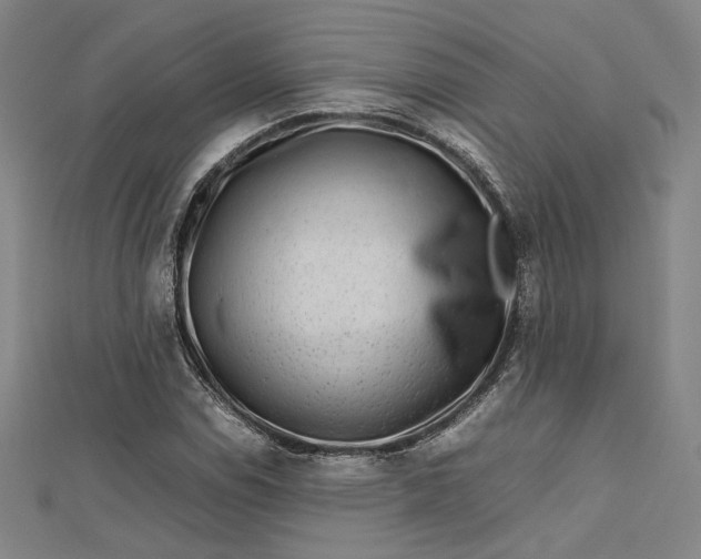 X0000112731114200909031438