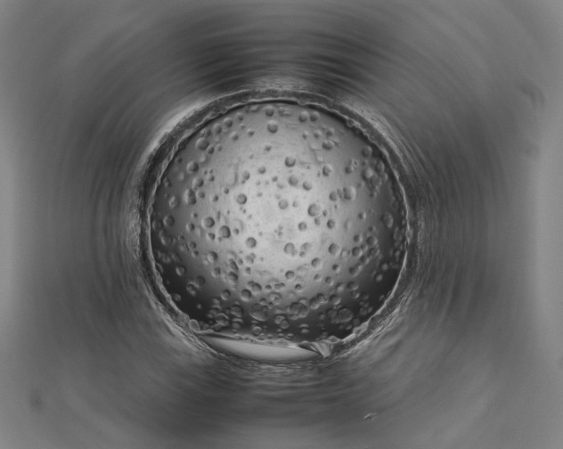 X0000112731115200909031438