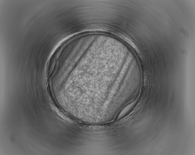 X0000112731116200909031438