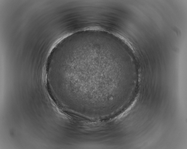 X0000112731117200909031438