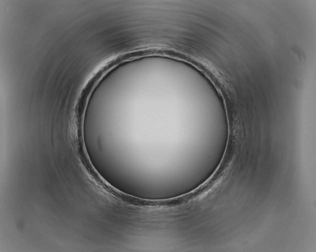 X0000112731118200909031438