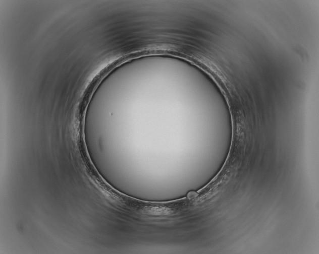 X0000112731119200909031438