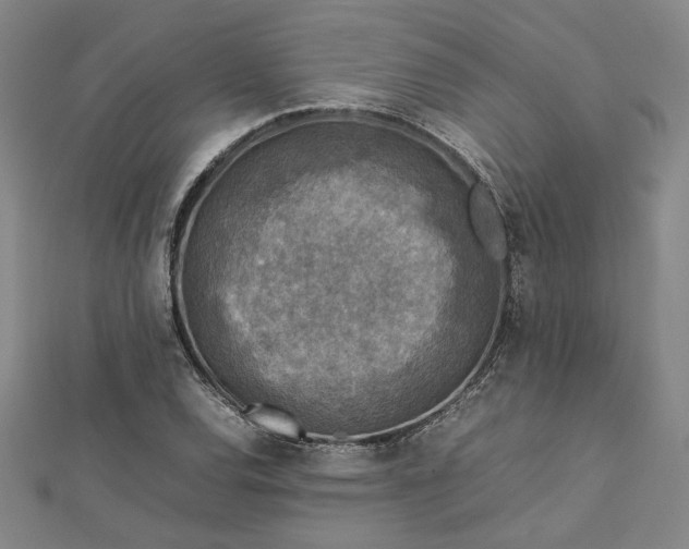 X0000112731120200909031438