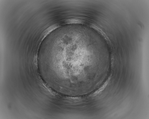 X0000112731121200909031438