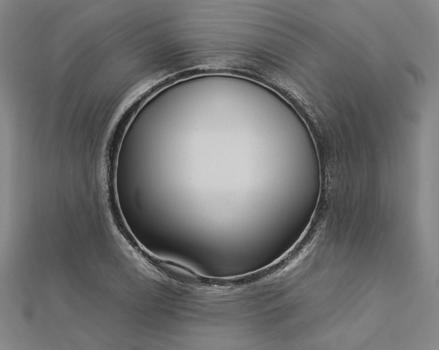 X0000112731122200909031438