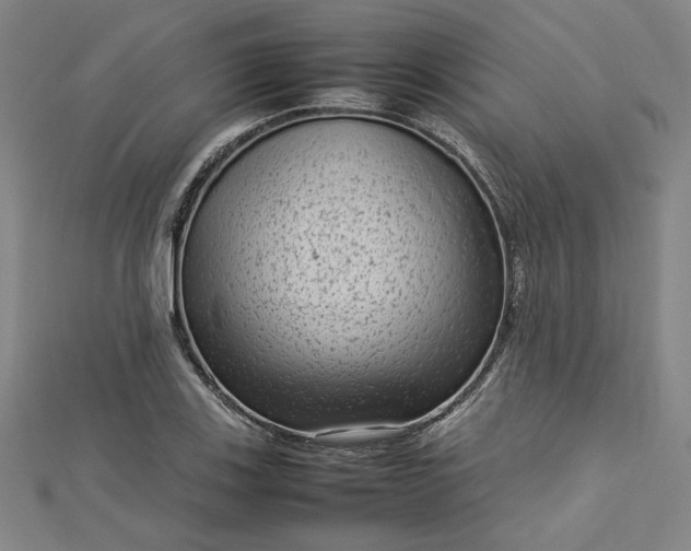 X0000112731123200909031438