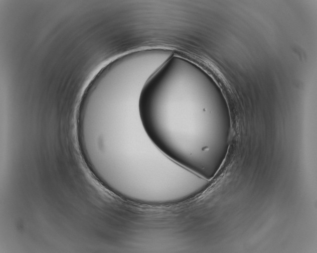 X0000112731124200909031438