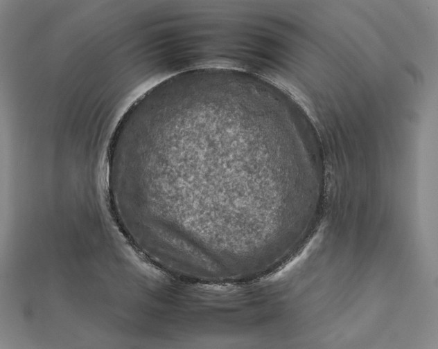 X0000112731125200909031438