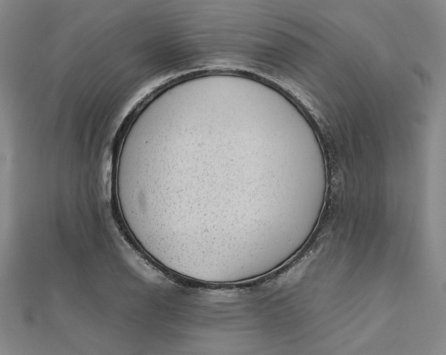 X0000112731126200909031438