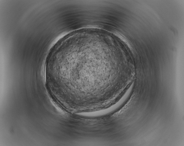 X0000112731127200909031438