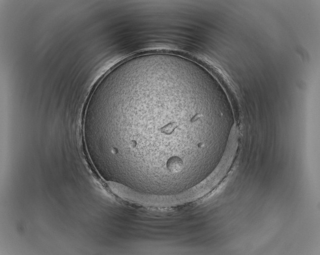 X0000112731129200909031438