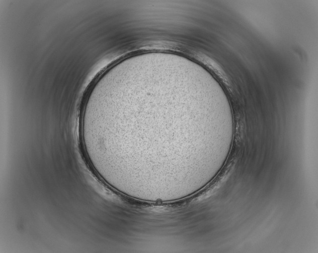 X0000112731130200909031438