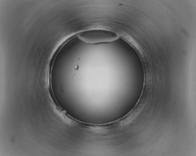 X0000112731132200909031438