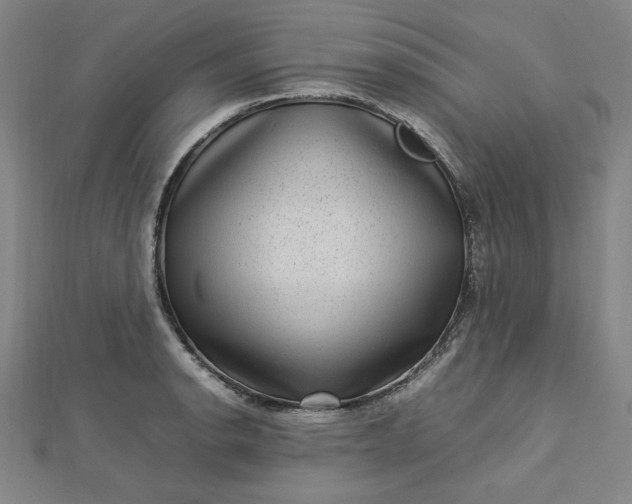 X0000112731134200909031438