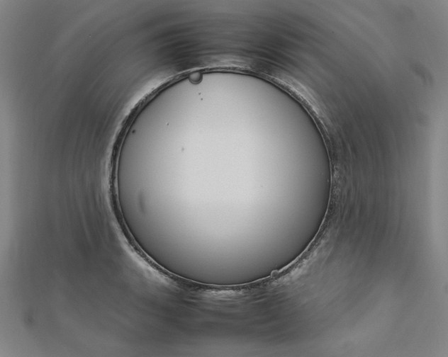 X0000112731135200909031438