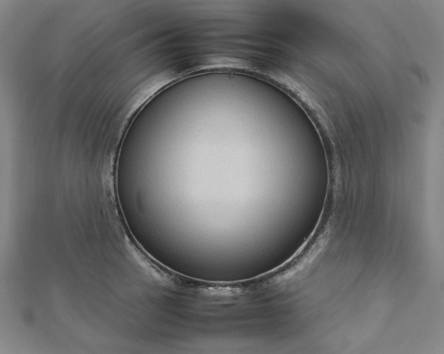 X0000112731137200909031438