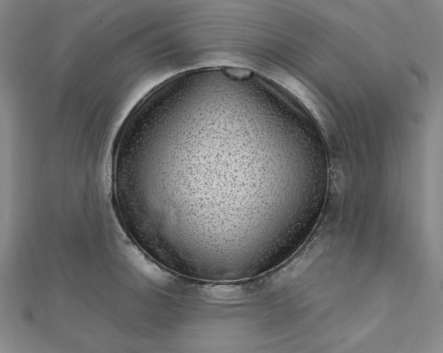 X0000112731140200909031439