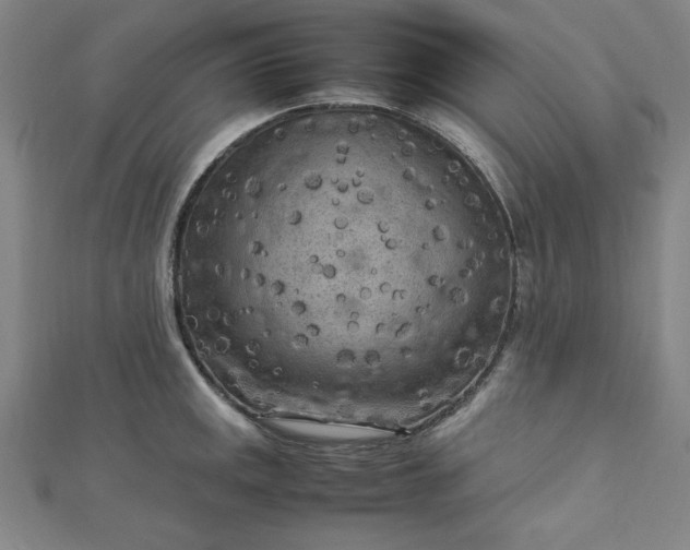 X0000112731141200909031439