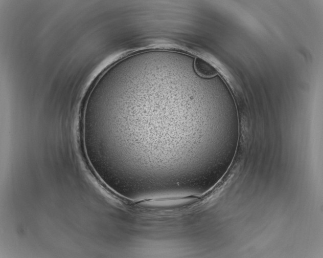 X0000112731142200909031439