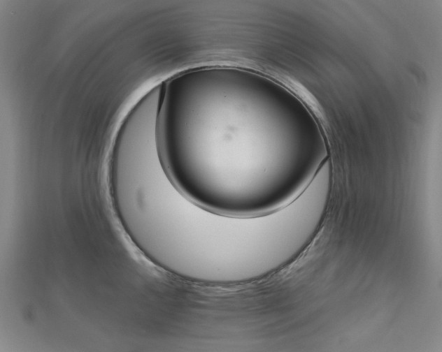 X0000112731144200909031439