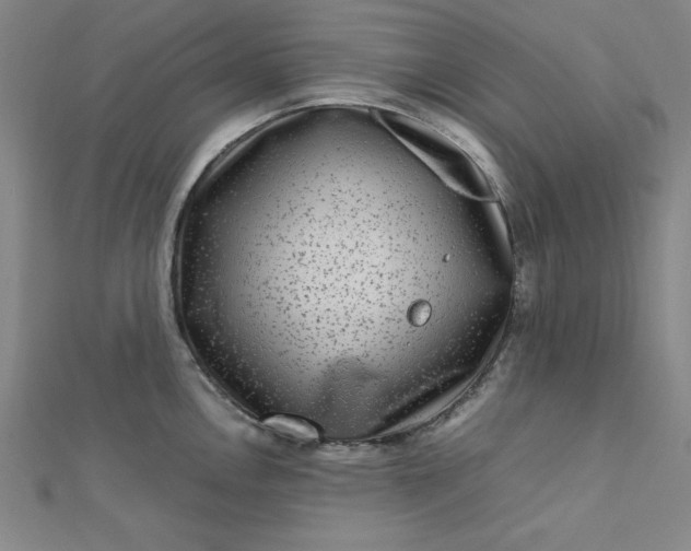 X0000112731146200909031439