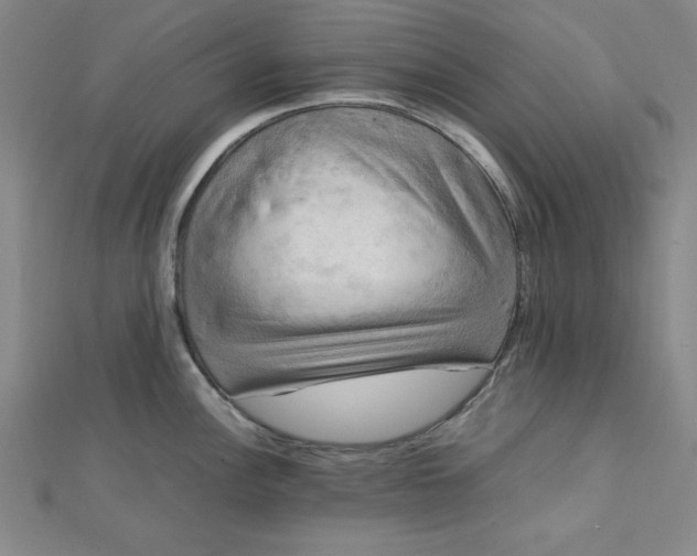 X0000112731148200909031439